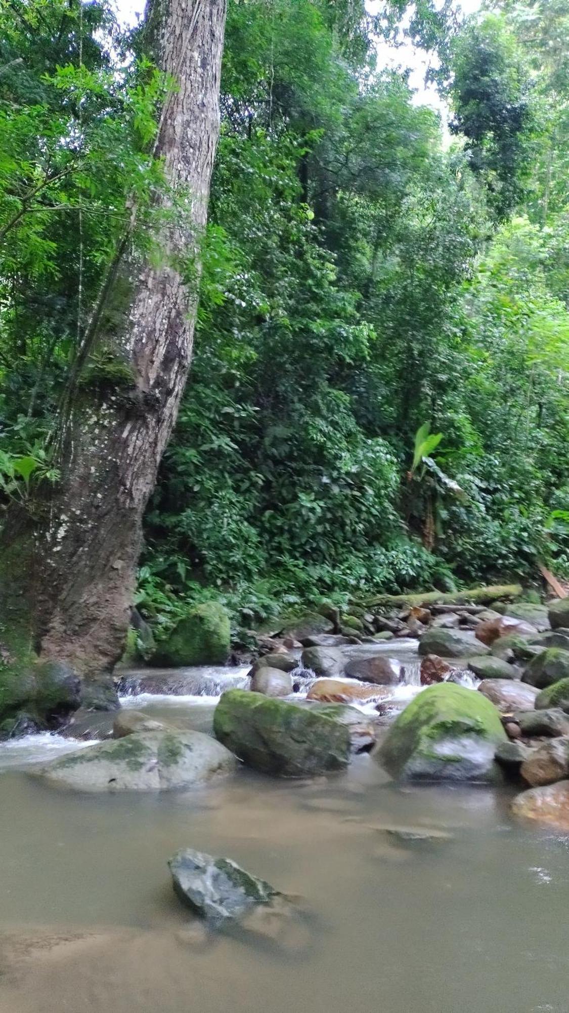 Casaluna Tayrona Villa Santa Marta Dış mekan fotoğraf