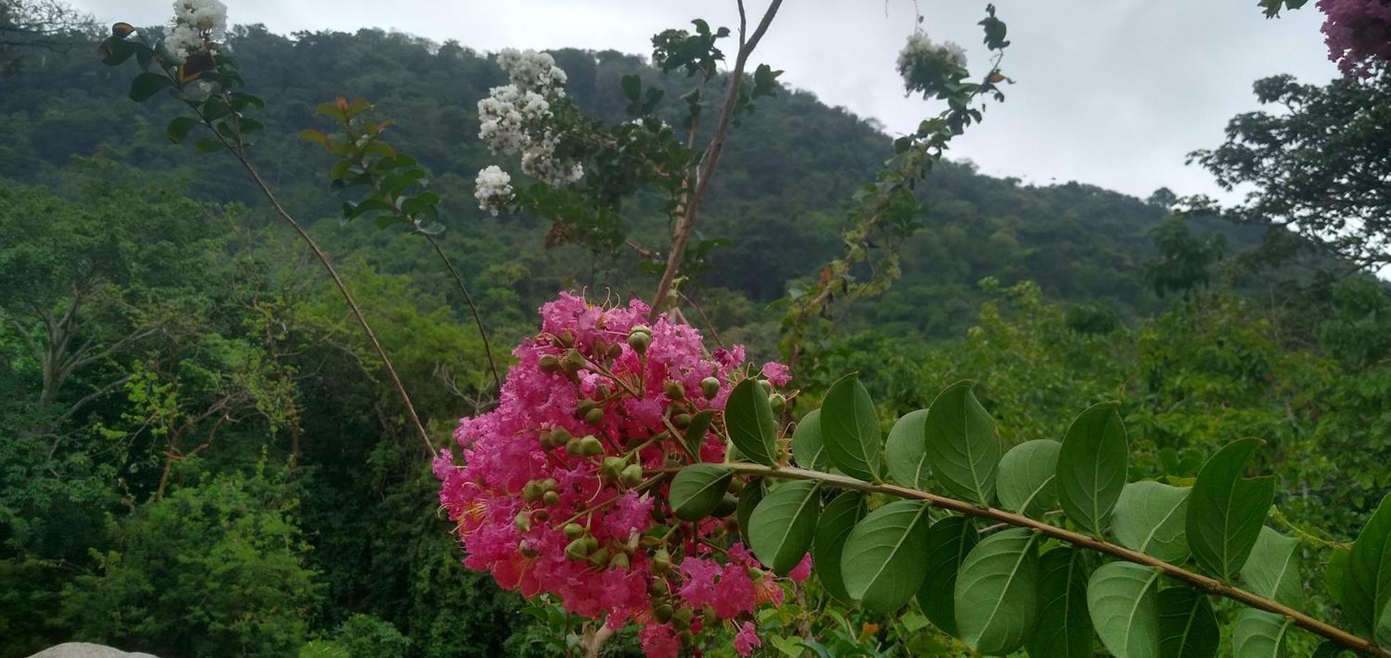 Casaluna Tayrona Villa Santa Marta Dış mekan fotoğraf